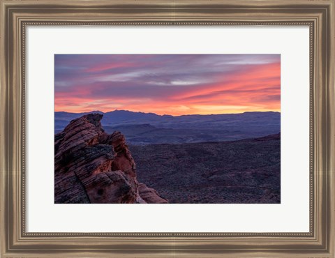 Framed Purple Hues Print