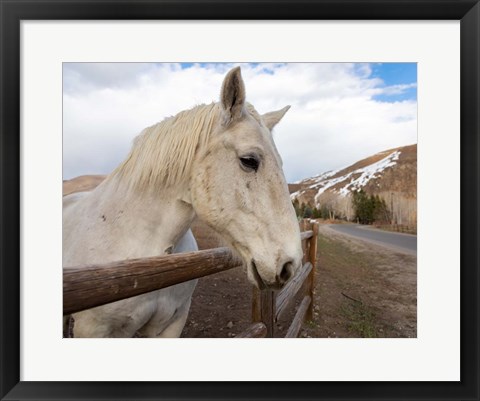 Framed On the Ranch Print