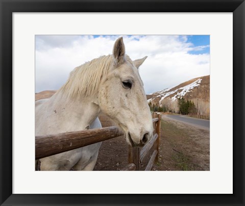 Framed On the Ranch Print