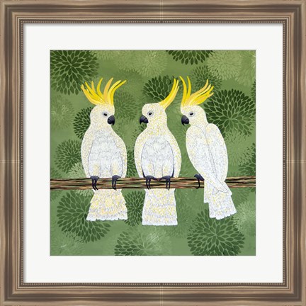 Framed Cockatoo Trio Print