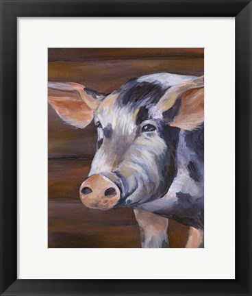 Framed Barn Pig Print