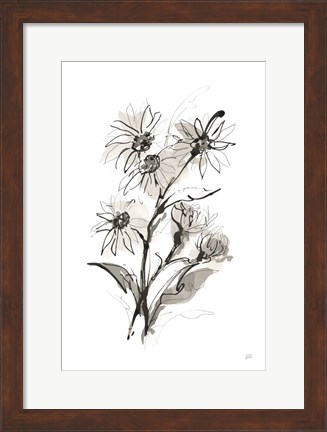 Framed Daisy I Print