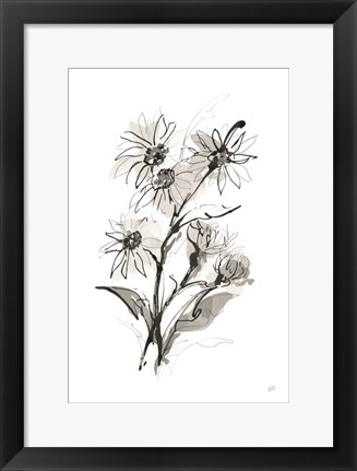 Framed Daisy I Print