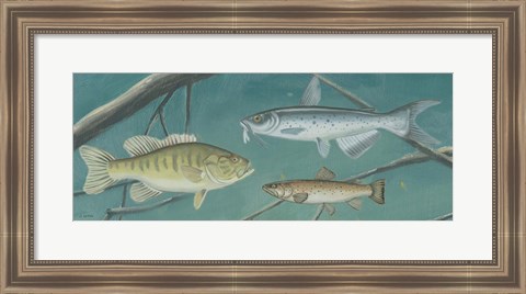 Framed Fresh Catch III Print