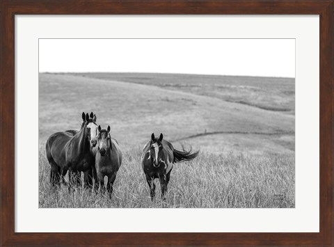 Framed Montana Moves Print