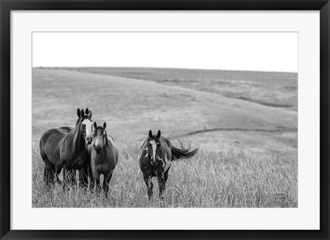 Framed Montana Moves Print