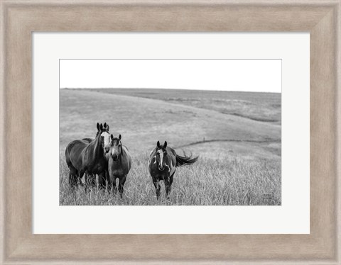 Framed Montana Moves Print