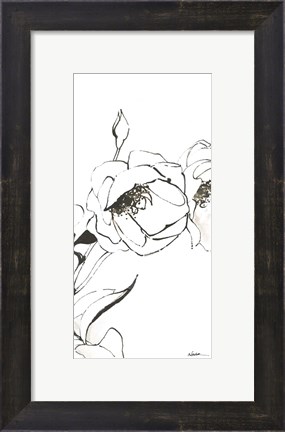 Framed Sketch of Roses Panel III Print