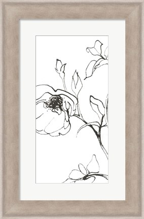 Framed Sketch of Roses Panel I Print