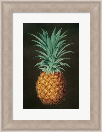 Framed Vintage Pineapple II Print