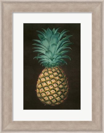 Framed Vintage Pineapple I Print