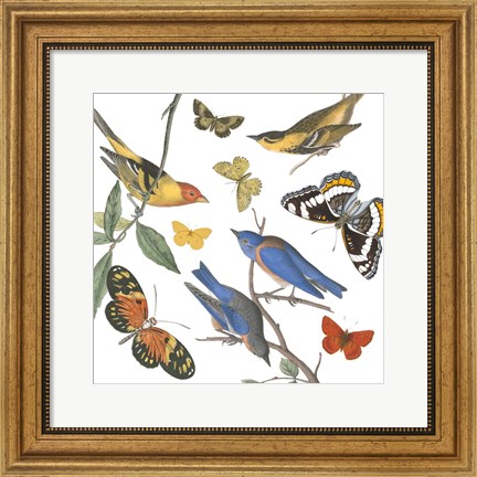 Framed Natures Flight I No Ferns Print