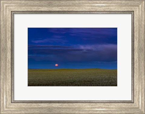 Framed Harvest Moon Rising, Alberta, Canada Print