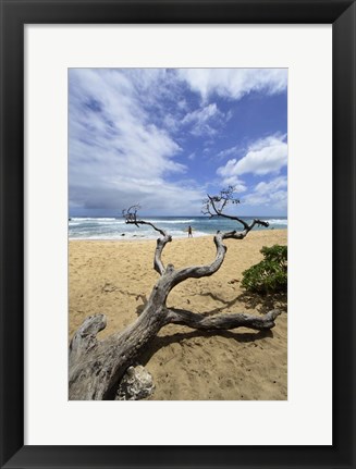 Framed Driftwood and Surfer on a Beach in Oahu, Hawaii Print