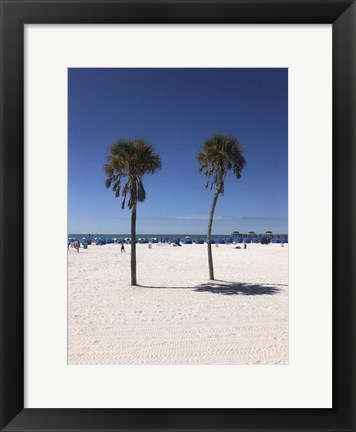 Framed Palm Trees, Clearwater Beach, Florida Print