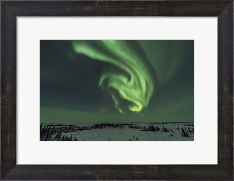 Framed Swirls of Auroral Curtains in the Northeast Sky, Churchill Print