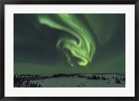 Framed Swirls of Auroral Curtains in the Northeast Sky, Churchill Print