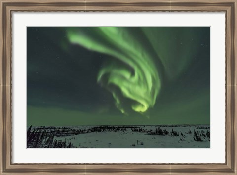 Framed Swirls of Auroral Curtains in the Northeast Sky, Churchill Print