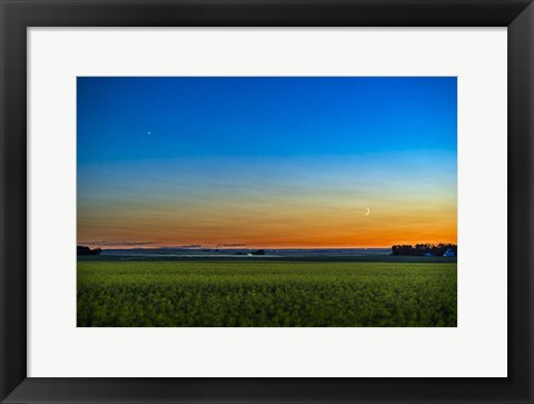 Framed Waxing Crescent Moon Below Venus Over a Ripening Canola Field Print