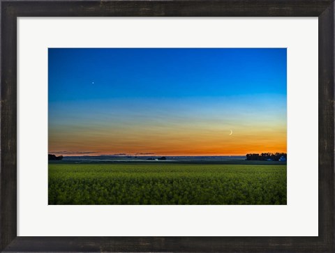 Framed Waxing Crescent Moon Below Venus Over a Ripening Canola Field Print