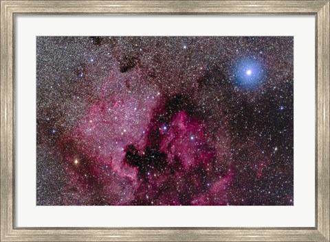 Framed North America Nebula Near Teh Bright Blue-White Star Deneb Print