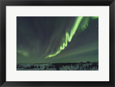 Framed Auroral Curtain Over Churchill, Manitoba Print