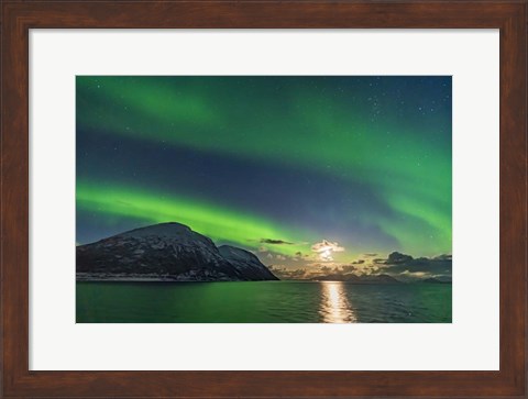 Framed Auroral Curtains Along the Norwegian Coast Print