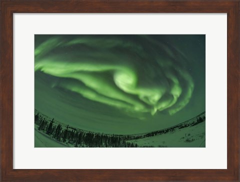 Framed Auroral Arcs, Loops and Swirls, Manitoba Print