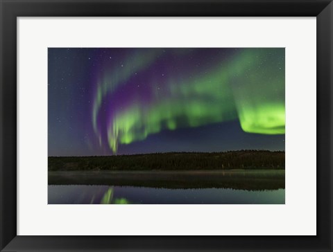 Framed Colorful Aurora in the Darkening Twilight Over Madeline Lake Print