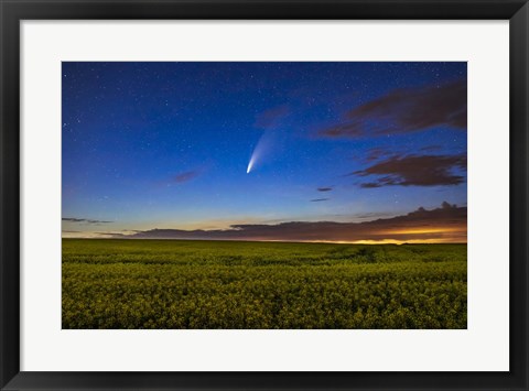 Framed Comet NEOWISE Over a Ripening Canola Field Print