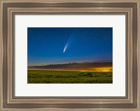 Framed Comet NEOWISE Over a Ripening Canola Field in Southern Alberta Print