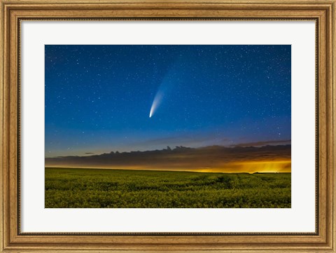 Framed Comet NEOWISE Over a Ripening Canola Field in Southern Alberta Print