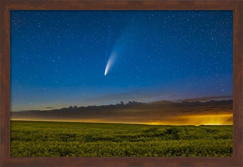 Framed Comet NEOWISE Over a Ripening Canola Field in Southern Alberta Print