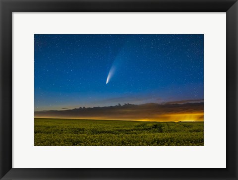 Framed Comet NEOWISE Over a Ripening Canola Field in Southern Alberta Print