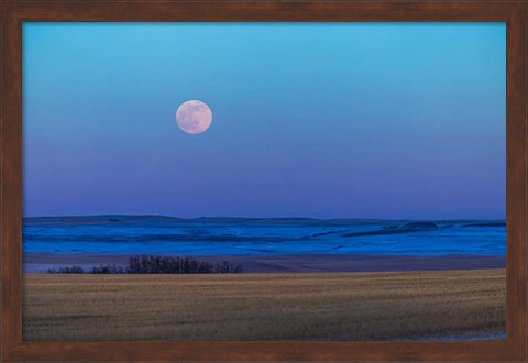 Framed Rising Full Moon Over the Alberta Prairie Print