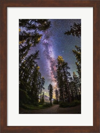 Framed Summer Milky Way With Through Pine Trees Print