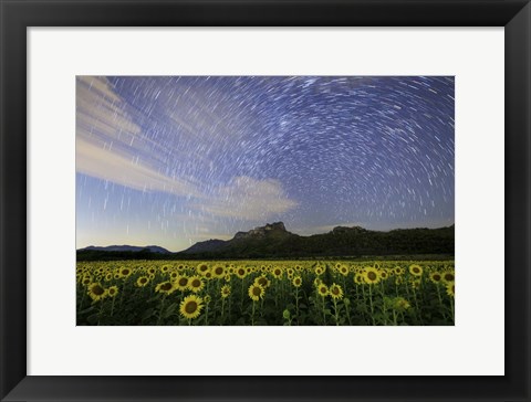 Framed Star Trails Among the Passing Clouds Above a Sunflower Filed Near Bangkok, Thailand Print