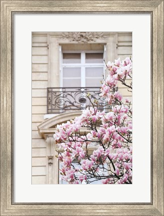 Framed Spring Magnolias in Paris Print