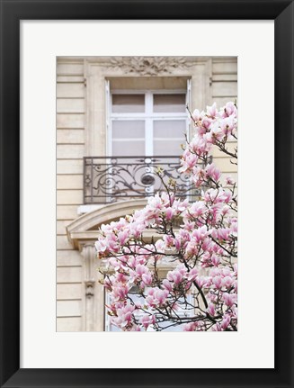 Framed Spring Magnolias in Paris Print