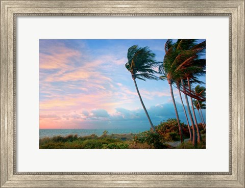 Framed Seabreeze Print