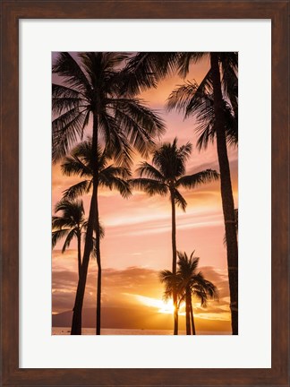 Framed Palm Trees At Sunset Of Maui, Hawaii Print