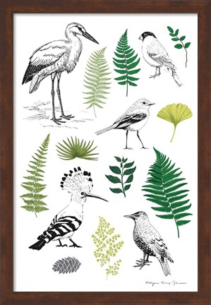 Framed Nature Chart I Print