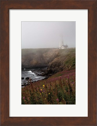 Framed Coastal Fog IV Print