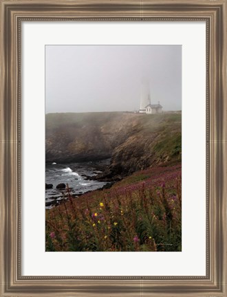 Framed Coastal Fog IV Print