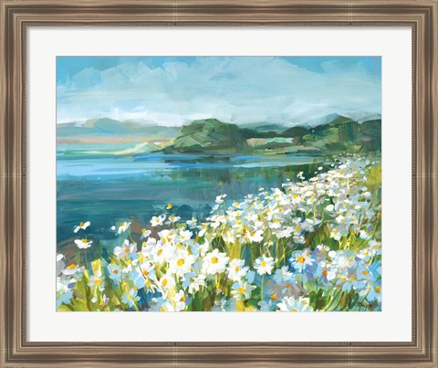 Framed Wild Daisy Bay Print