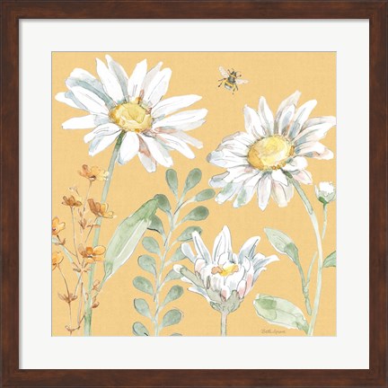 Framed Daisy Days VIII Print