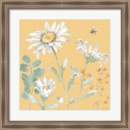 Framed Daisy Days IX Print