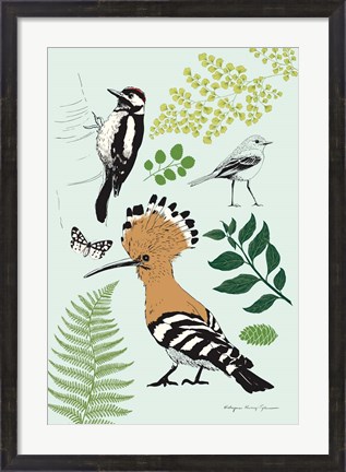 Framed Nature Chart II Print