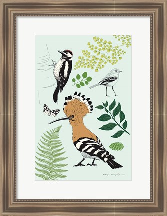 Framed Nature Chart II Print