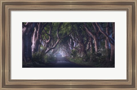 Framed Dark Hedges Print